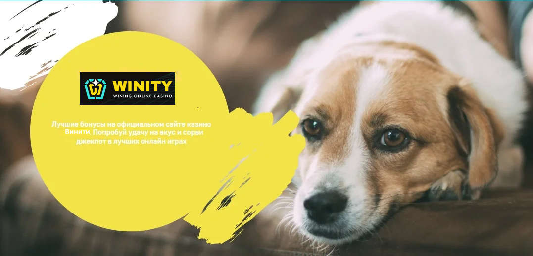 Бонусы Винити казино